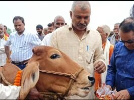 पशु आरोग्य शिविर में पशुपालकों को दी गई स्वास्थ्य संबंधी जानकारी